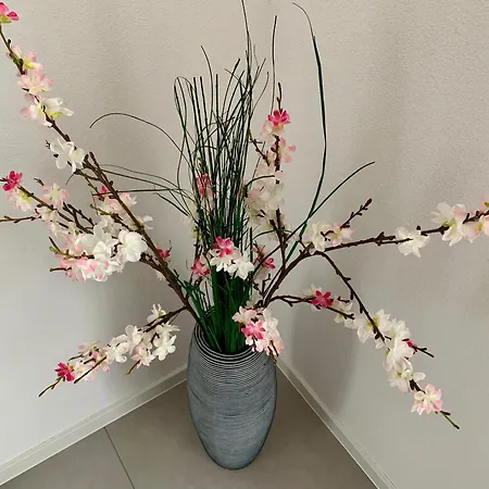 Appartement3 ダーン